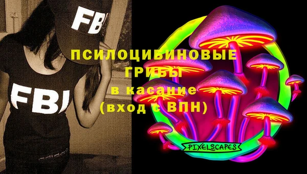 гашик Богородск