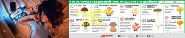 гашик Новодвинск