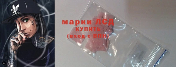 гашиш Богданович