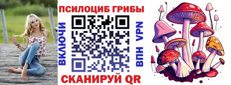 Псилоцибиновые грибы Cubensis  наркотики  Навашино 